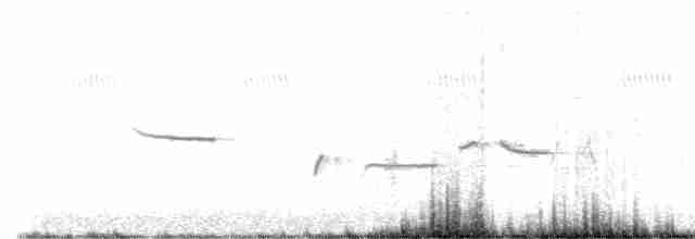 Tüpfelborstenvogel - ML605566081