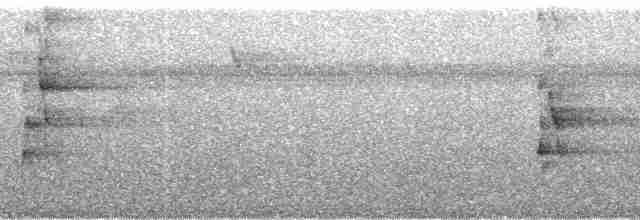 arassari černokrký - ML60568