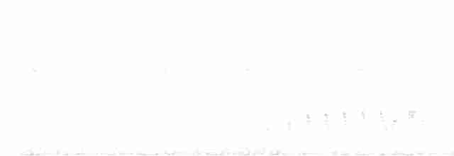Buff-collared Nightjar - ML605691821