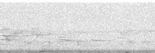 Iiwikleidervogel - ML6057