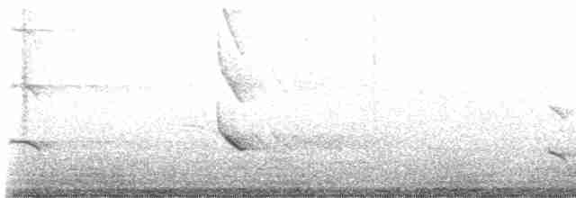 orlovec říční (ssp. carolinensis) - ML605717171