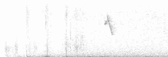 Greenish Warbler - ML605736611