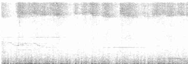 Ошейниковая канделита - ML605775451