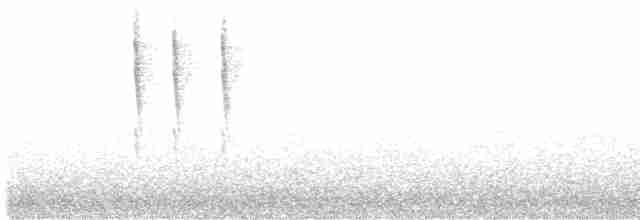 Тихоокеанский крапивник - ML605791211