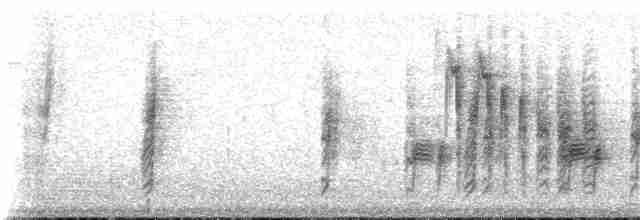 Gözlüklü Baştankara - ML60580201