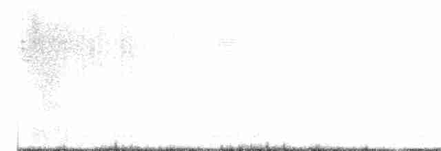 Çizgili Başlı Yerçavuşu - ML605805351