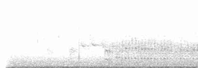 Spotless Crake - ML605893741