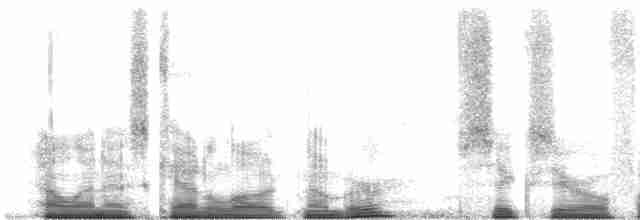 Фиолетовый трогон - ML60591