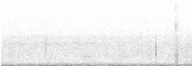 Common Merganser - ML605922021