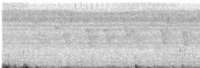 Kuzeyli Sert Kanatlı Kırlangıç - ML605922821