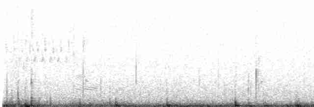 Marsh Wren (griseus) - ML606002291