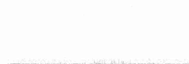 Al Beyaz Yerçavuşu - ML606129631