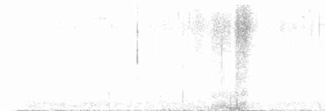Weißflecken-Ameisenpitta - ML606129641