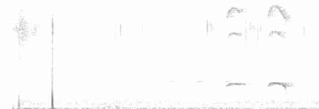 Weißflecken-Ameisenpitta - ML606129651