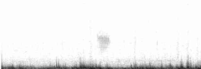 Североамериканская ласточка - ML606155211