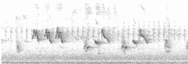 Australian Reed Warbler - ML606155611