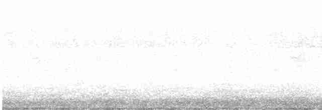 Aigrette à face blanche - ML606171661