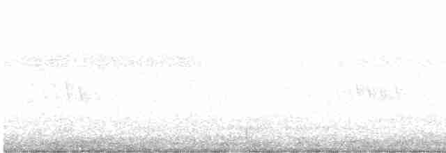 volavka bělolící - ML606171671