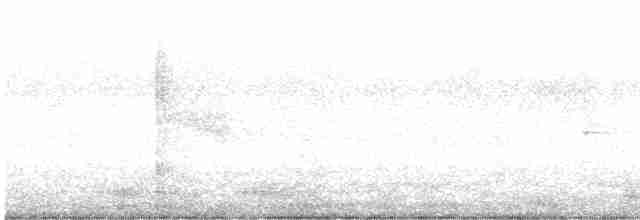 volavka bělolící - ML606172161