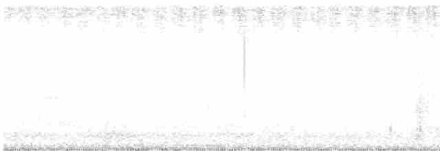 Urubi arrunta - ML606184961