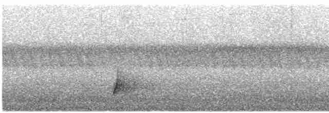 スミレコノハドリ（cyanogastra） - ML606220711