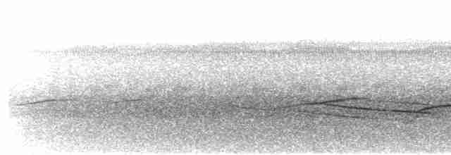 Ak Karınlı Tohumcul - ML606232911