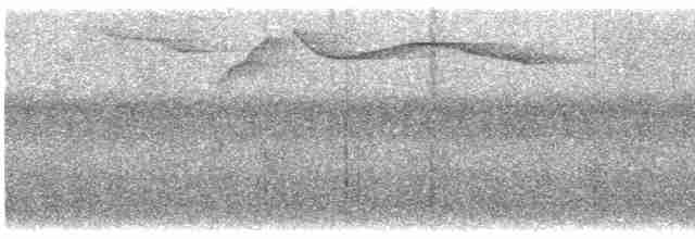 Серогрудый жемчужнокрыл - ML606233291