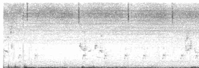 Loggerhead Shrike - ML606247401