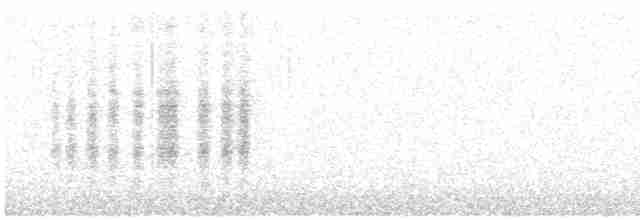 Woodchat Shrike - ML606247801