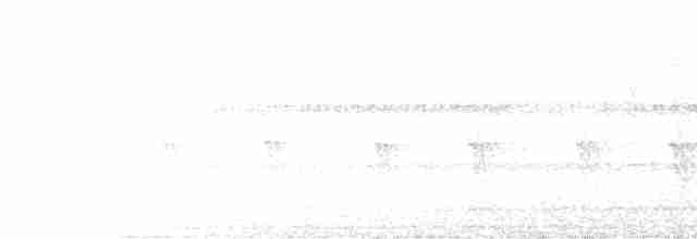 Undulated Tinamou - ML606328381
