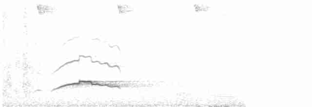 Орел-чубань чорний - ML606352851