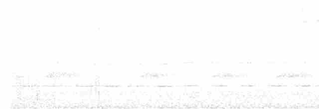 svartkronemyggpitta - ML606357541