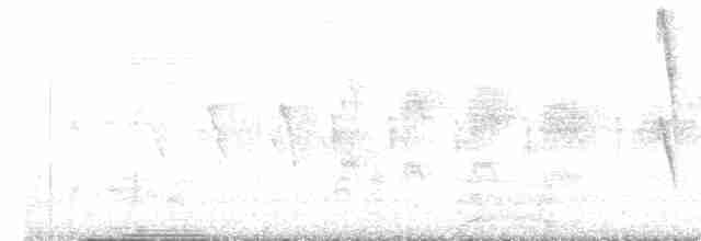 Strichelkopf-Ameisenfänger - ML606372771