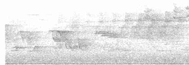 Cerulean Warbler - ML60638931