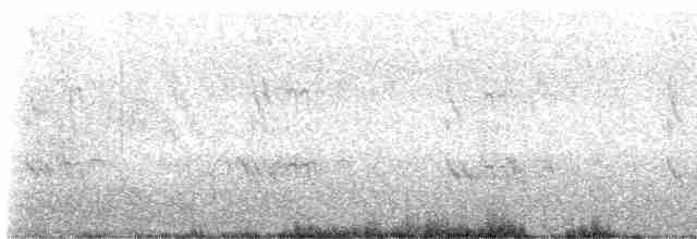 Roseate Tern - ML606421381
