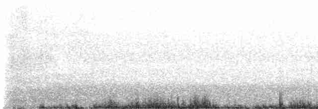 Roseate Tern - ML606421481