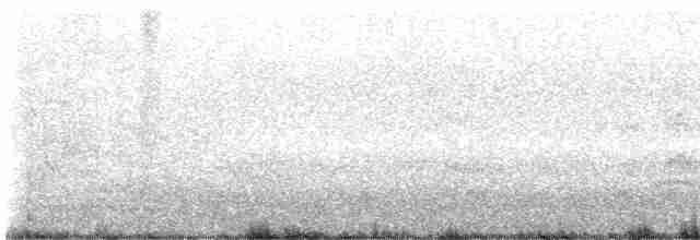 Common Tern - ML606421841