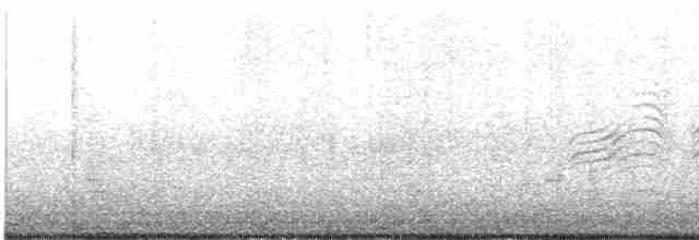 יסעור שחור-כיפה - ML606447621