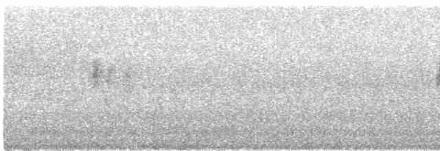 Пронурок сірий - ML606452161