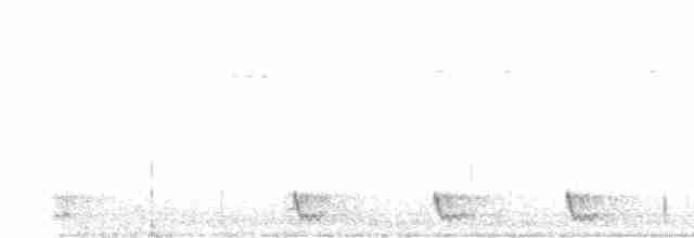 Large-tailed Nightjar - ML606457661