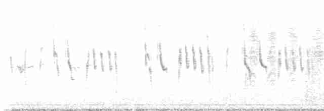 Малый пегий зимородок - ML606461701