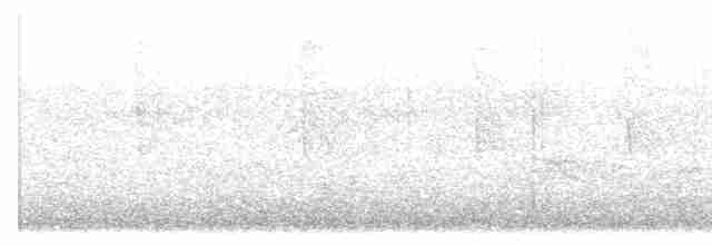 Cerulean Warbler - ML606466811