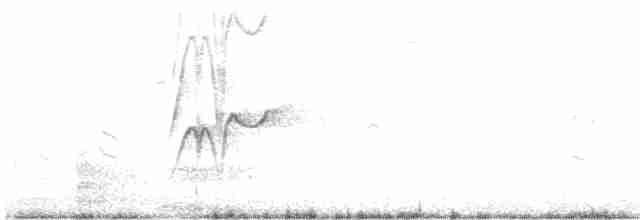 Dendrocygne siffleur - ML606483221