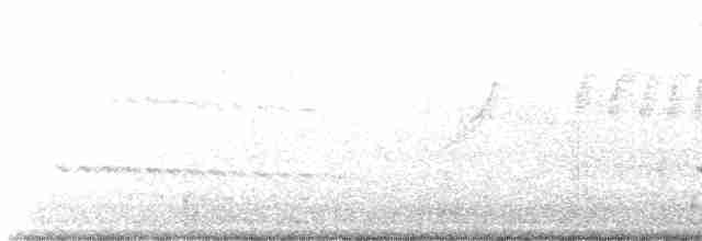 White-throated Kingfisher - ML606512611