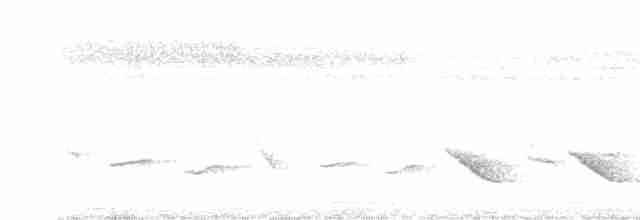 Пестрокрылая йора - ML606530021