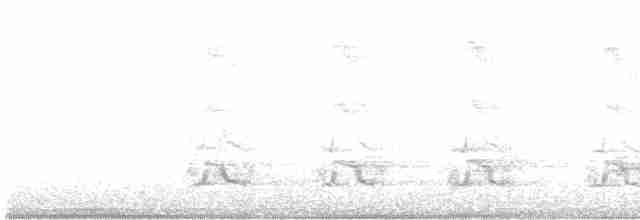 Красногрудый дятел-сокоед - ML606575151