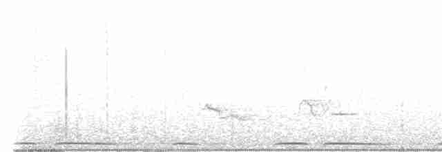 Eurasian Collared-Dove - ML606586671