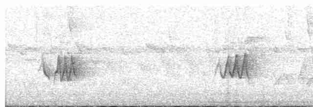 Chivi Vireo - ML606601241