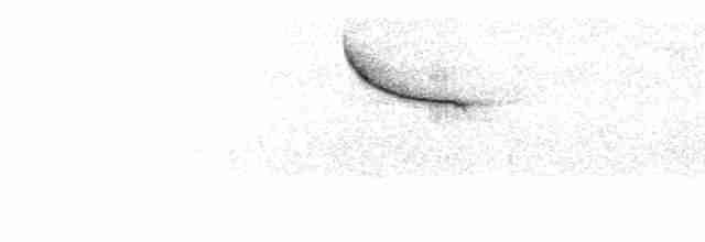 Eurasian Penduline-Tit - ML606609071