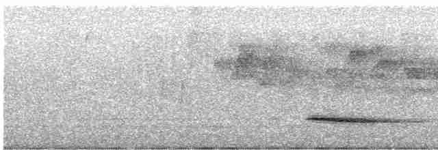 Каштановый скрытохвост - ML606639521